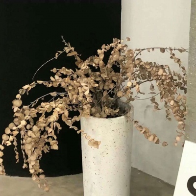 颍上FurryQQ群介绍